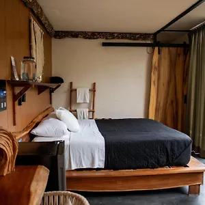 Hotel Bufo Alvarius
